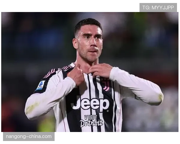 弗拉霍维奇：从贝尔格莱德少年到意甲顶级射手的崛起解析