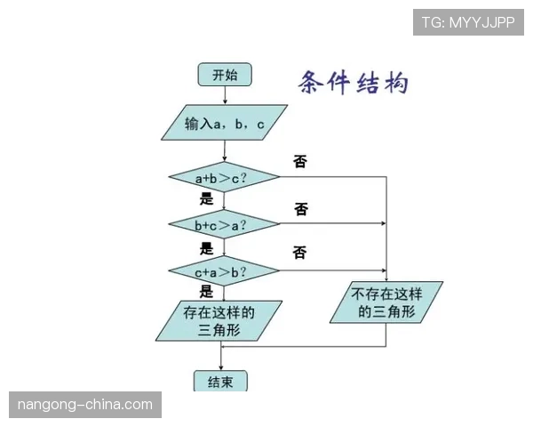 挑战判罚规则适用时机与具体判断流程解析